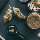 Understanding Cannabis Contamination: A Presentation by Infinite Chemical Analysis Labs