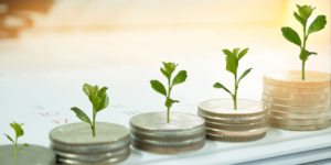 Sprouts sitting on top of progressively taller stacks of coins.