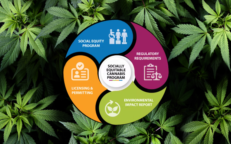 Cannabis leaves frame the County of San Diego graphic for the cannabis program, a wheel with 4 segments of different colors: Social Equity Program, Regulatory Requirements, Environmental Impact Report, and Licensing and Permitting. In the center, a circle reads "Socially Equitable Cannabis Program."